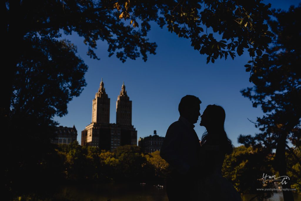 纽约中央公园婚纱照 Central Park Pre-wedding - Yun Li Photography