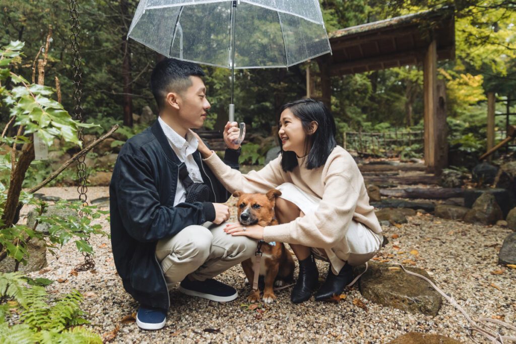 Surprise proposal engagement picture at John P. Humes Japanese Stroll Garden - Long island wedding photographer