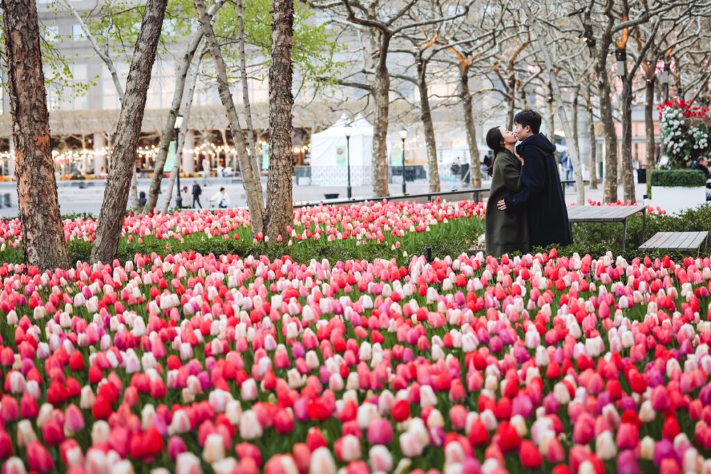 Engagement Picture at Battery Park Manhattan New York