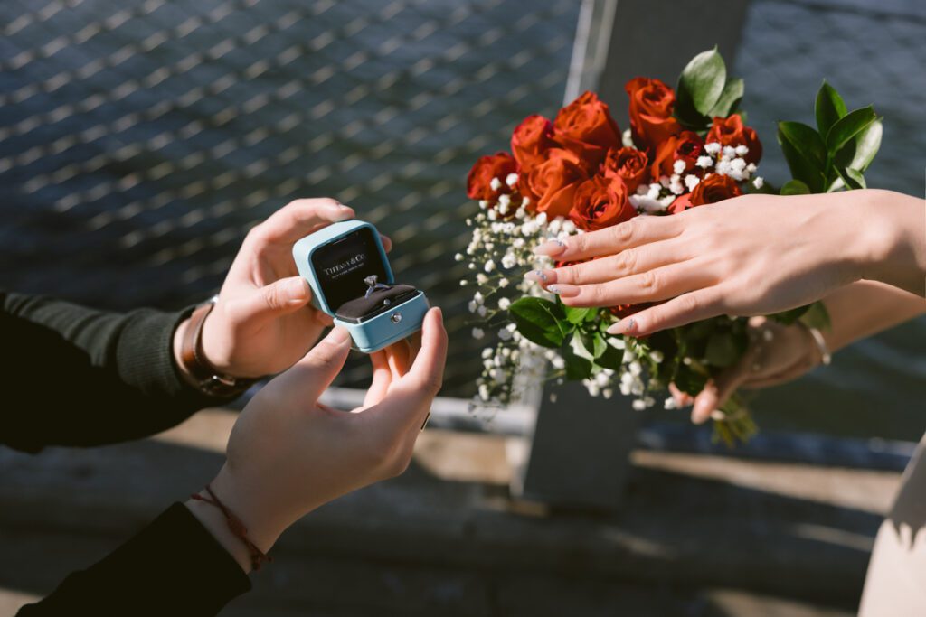Surprise Marriage Proposal/Engagement in Dumbo, Brooklyn, New York - Long Island Wedding Photographer