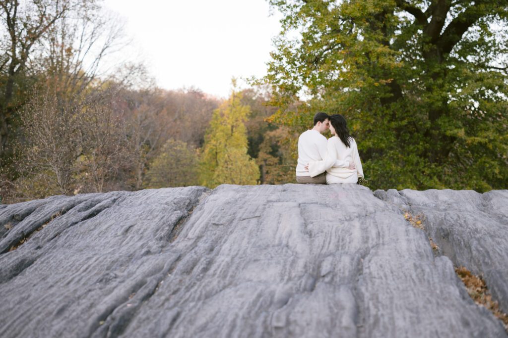 Engagement Photo at Central Park - New York Wedding Photographer - Yun Li Photography
